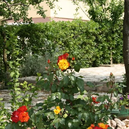 6456b Апартаменты *